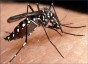 Em apenas meia-hora, trs pacientes foram confirmados com dengue, ao procurarem atendimento no hospital de Pinhalzinho