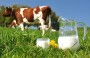Agricultores devem se mobilizar para cobrar aes que valorizem a produo do leite local