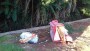 Administrao de So Jos do Cedro recebe nova denncia de lixo em local irregular