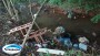 Moradores do bairro So Cristvo, em So Jos do Cedro, denunciam crime ambiental