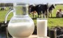 Agricultores deveriam receber pelo menos um real e 20 centavos pelo litro de leite vendido