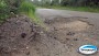 Empresrios e pessoas da comunidade comandaro nova operao tapa buracos na rodovia entre So Jos do Cedro e Princesa