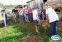 Cinquenta e oito agricultores participaram do Dia de Campo promovido pela Epagri na comunidade de So Vendelino, nesta semana. 
