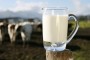 Pagamento do leite em junho deve ter 11,2% de aumento