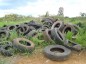 Secretaria de Sade de Guaruj do Sul organiza coleta de pneus velhos