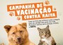 ONG Cedro Animal desenvolve nova parceria para vacinao contra a raiva para ces e gatos