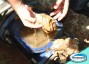 Panos com pedra-brita so encontrados em tubulao principal da rede de gua em So Jos do Cedro.