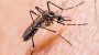 Casos suspeitos de Dengue e de Zika Vrus investigados pela secretaria de sade de So Jos do Cedro deram negativos