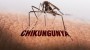 O quinto caso de chikungunya em Santa Catarina foi confirmado nesta tera-feira pela Secretaria de Sade de So Miguel do Oeste