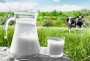 Seminrio sobre a atividade produtiva do leite ser realizado segunda-feira